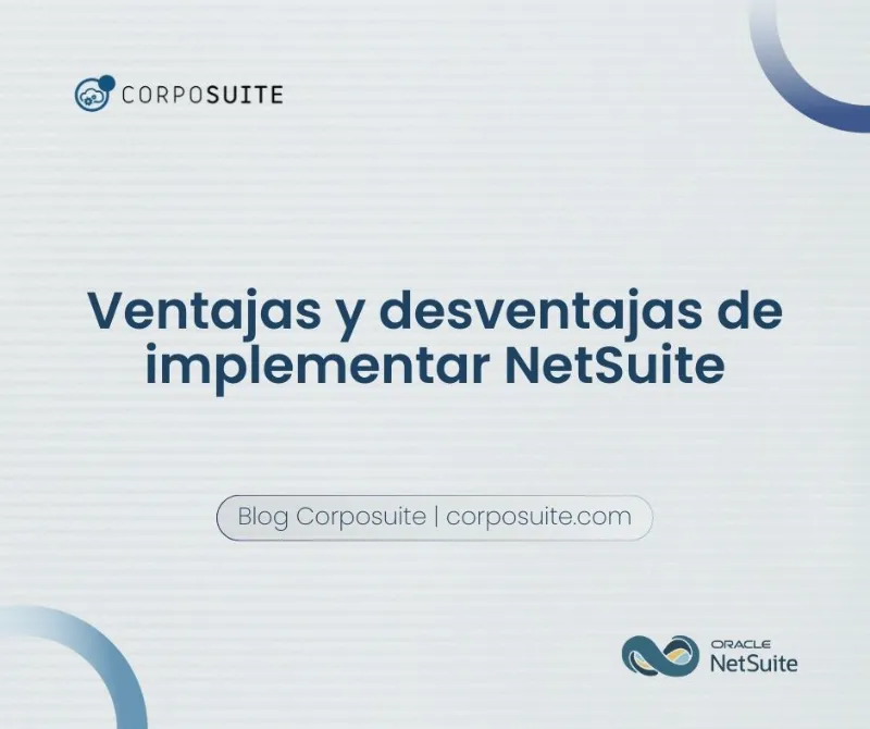 netsuite ventajas y desventajas