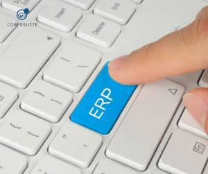 Netsuite Ventajas y desventajas