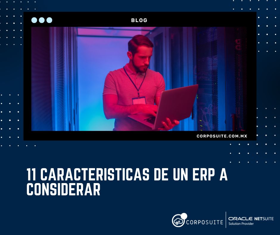 caracteristicas de un ERP