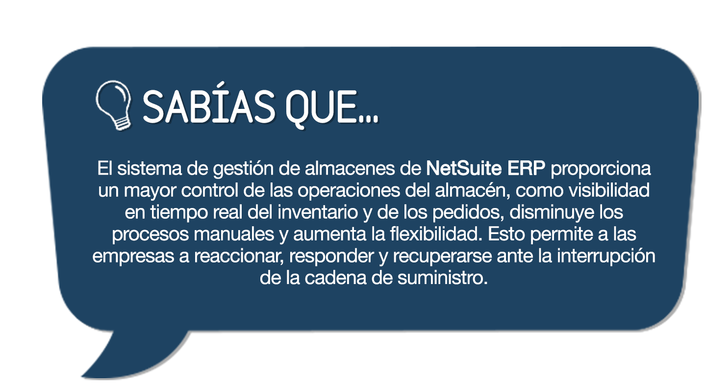 Netsuite ERP