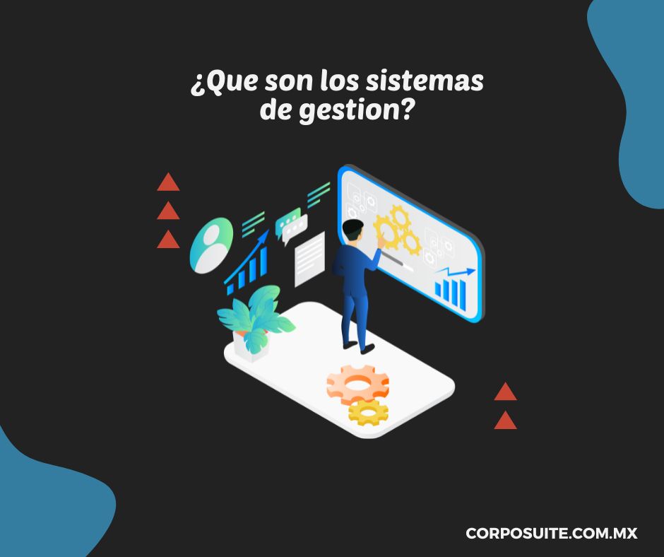 ¿Que son los sistemas de gestion