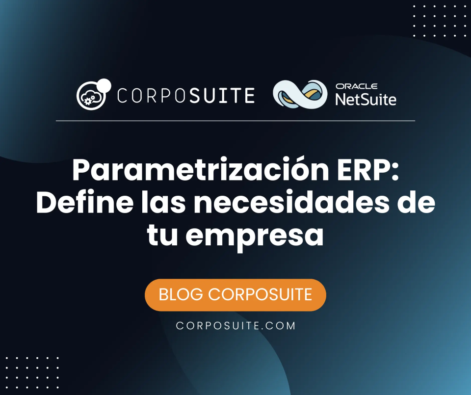 parametrizacion erp