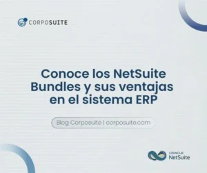 NetSuite bundles