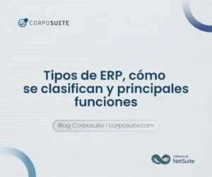 tipos de erp