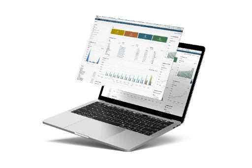 Netsuite Nuevo León